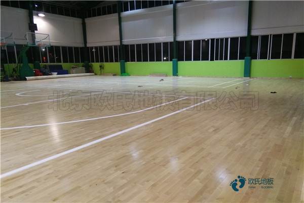 楓樺木運動籃球木地板施工價格
